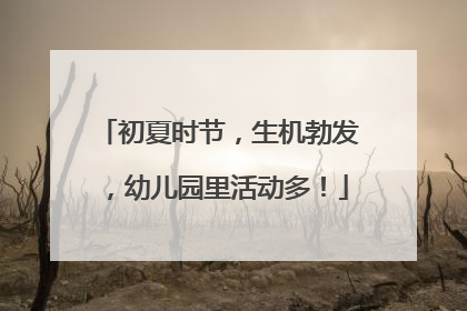 初夏时节，生机勃发，幼儿园里活动多！