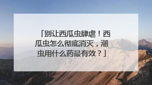 别让西瓜虫肆虐！西瓜虫怎么彻底消灭，潮虫用什么药最有效？