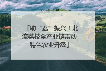 助“荔”振兴！北流荔枝全产业链带动特色农业升级