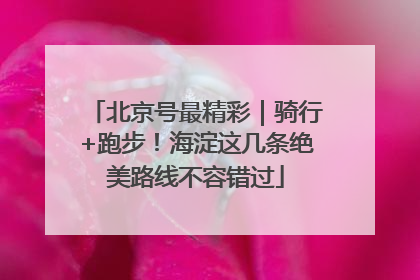 北京号最精彩｜骑行+跑步！海淀这几条绝美路线不容错过