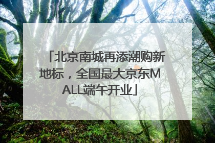 北京南城再添潮购新地标，全国最大京东MALL端午开业