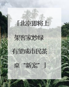 北京即将上架客家炒绿 有望成市民茶桌“新宠”