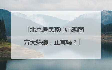 北京居民家中出现南方大蟑螂，正常吗？