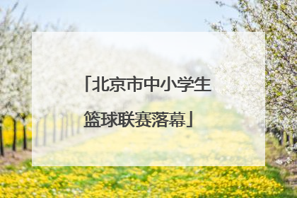 北京市中小学生篮球联赛落幕