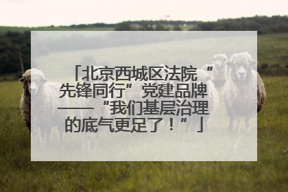 北京西城区法院“先锋同行”党建品牌——“我们基层治理的底气更足了！”