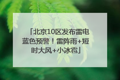 北京10区发布雷电蓝色预警！雷阵雨+短时大风+小冰雹