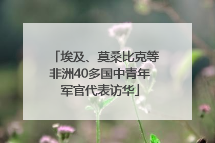 埃及、莫桑比克等非洲40多国中青年军官代表访华