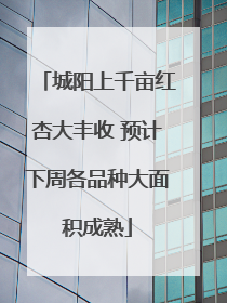 城阳上千亩红杏大丰收 预计下周各品种大面积成熟