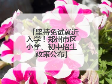 坚持免试就近入学！郑州市区小学、初中招生政策公布