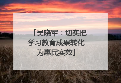 吴晓军：切实把学习教育成果转化为惠民实效