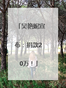 吴艳妮宣布：捐款20万！