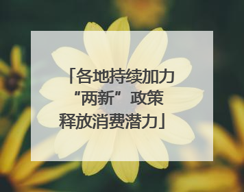 各地持续加力“两新”政策 释放消费潜力