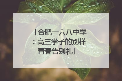 合肥一六八中学：高三学子的别样青春告别礼