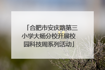 合肥市安庆路第三小学大杨分校开展校园科技周系列活动
