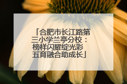 合肥市长江路第三小学兰亭分校：榜样闪耀绽光彩 五育融合助成长