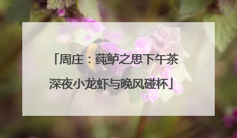 周庄：莼鲈之思下午茶 深夜小龙虾与晚风碰杯