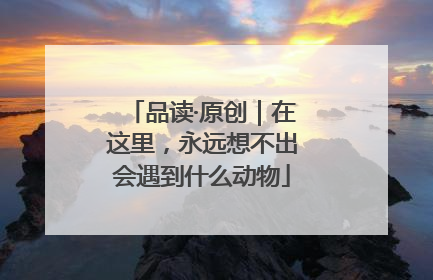 品读·原创｜在这里，永远想不出会遇到什么动物