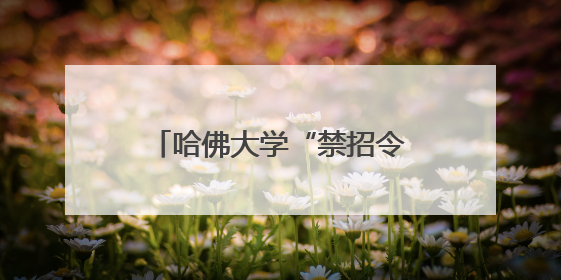 哈佛大学“禁招令”，让比利时未来首位女王、23岁伊丽莎白公主难毕业