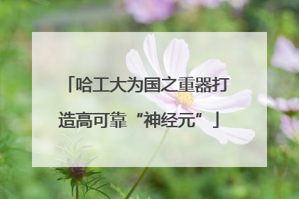 哈工大为国之重器打造高可靠“神经元”
