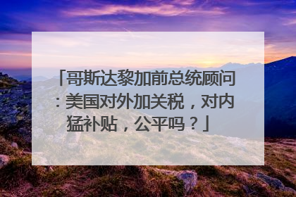 哥斯达黎加前总统顾问：美国对外加关税，对内猛补贴，公平吗？