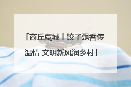 商丘虞城丨饺子飘香传温情 文明新风润乡村