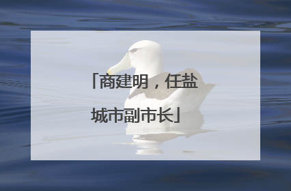 商建明，任盐城市副市长