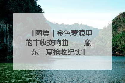 图集｜金色麦浪里的丰收交响曲——豫东三夏抢收纪实