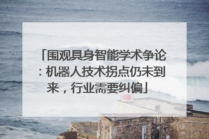 围观具身智能学术争论：机器人技术拐点仍未到来，行业需要纠偏