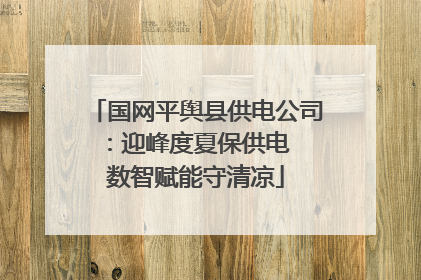 国网平舆县供电公司：迎峰度夏保供电  数智赋能守清凉