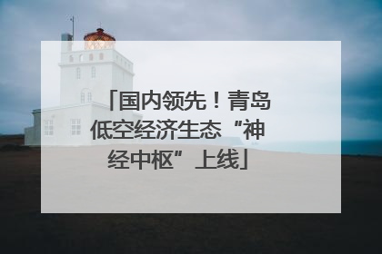 国内领先！青岛低空经济生态“神经中枢”上线