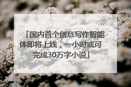 国内首个创意写作智能体即将上线，一小时或可完成30万字小说