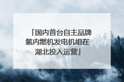 国内首台自主品牌氢内燃机发电机组在湖北投入运营