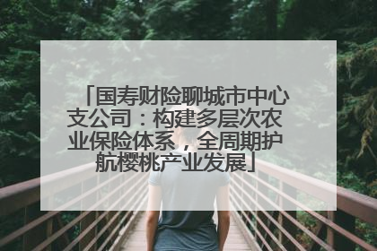 国寿财险聊城市中心支公司：构建多层次农业保险体系，全周期护航樱桃产业发展