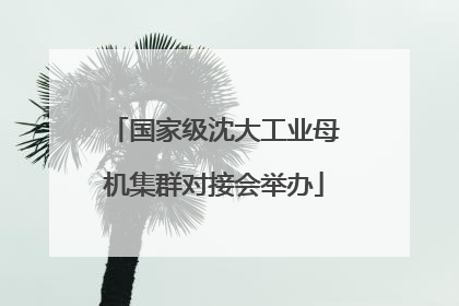 国家级沈大工业母机集群对接会举办