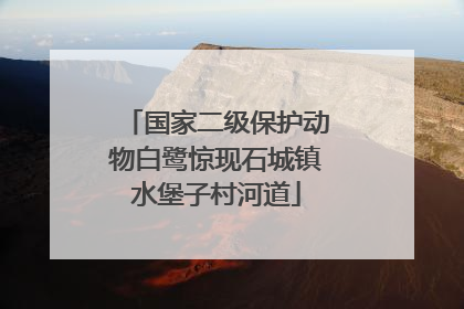 国家二级保护动物白鹭惊现石城镇水堡子村河道
