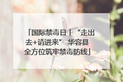 国际禁毒日丨“走出去+请进来” 华容县全方位筑牢禁毒防线