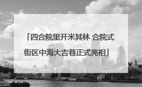 四合院里开米其林 合院式街区中海大吉巷正式亮相