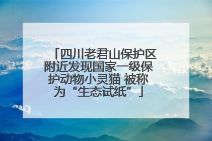四川老君山保护区附近发现国家一级保护动物小灵猫 被称为“生态试纸”