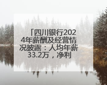 四川银行2024年薪酬及经营情况披露：人均年薪33.2万，净利润突破20亿