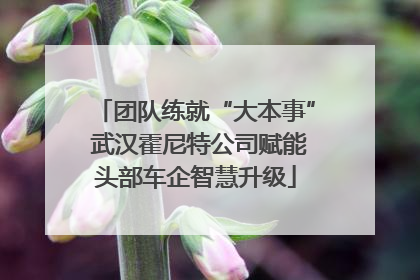 团队练就“大本事” 武汉霍尼特公司赋能头部车企智慧升级