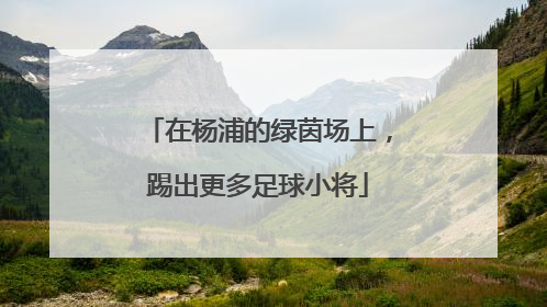在杨浦的绿茵场上，踢出更多足球小将