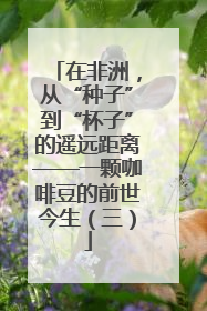 在非洲，从“种子”到“杯子”的遥远距离——一颗咖啡豆的前世今生（三）