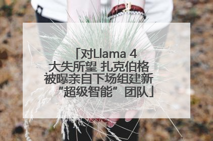 对Llama 4大失所望 扎克伯格被曝亲自下场组建新“超级智能”团队