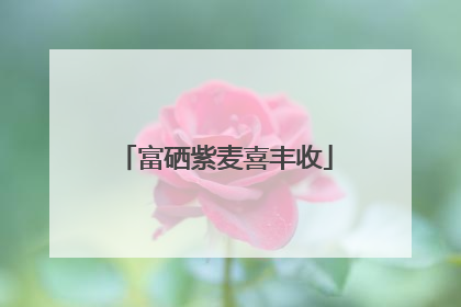 富硒紫麦喜丰收