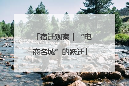 宿迁观察｜“电商名城”的跃迁