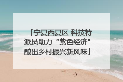 宁夏西夏区 科技特派员助力“紫色经济”酿出乡村振兴新风味