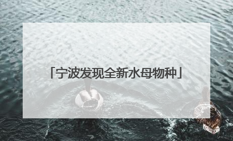 宁波发现全新水母物种
