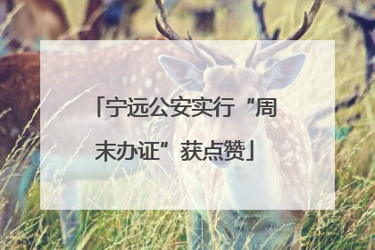 宁远公安实行“周末办证”获点赞