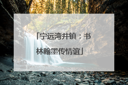 宁远湾井镇：书林翰墨传情谊