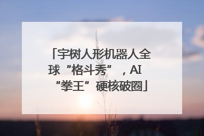 宇树人形机器人全球“格斗秀”，AI“拳王”硬核破圈